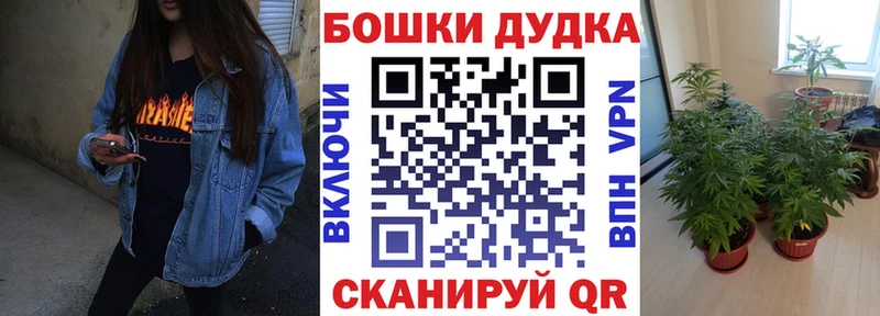 Цена Борзя Гашиш  КОКАИН  Меф мяу мяу  Alpha PVP  ссылка на мегу онион  Каннабис 