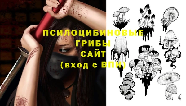 прущая мука Алзамай