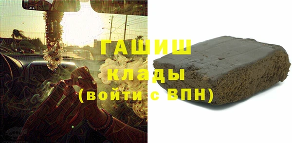 стаф Инта