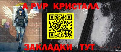 прущие грибы Братск