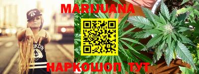 шишки Боровичи