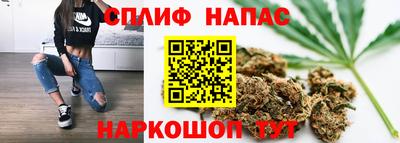прущие грибы Братск