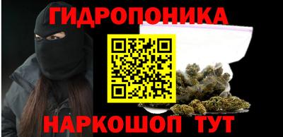 шишки Боровичи