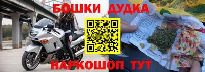 шишки Боровичи
