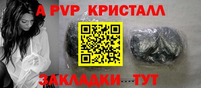 шишки Боровичи