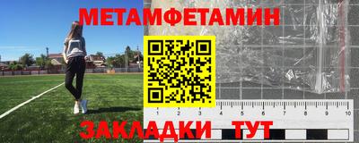 прущие грибы Братск