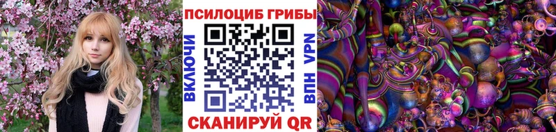 даркнет наркотические препараты  Борзя  Псилоцибиновые грибы мицелий 
